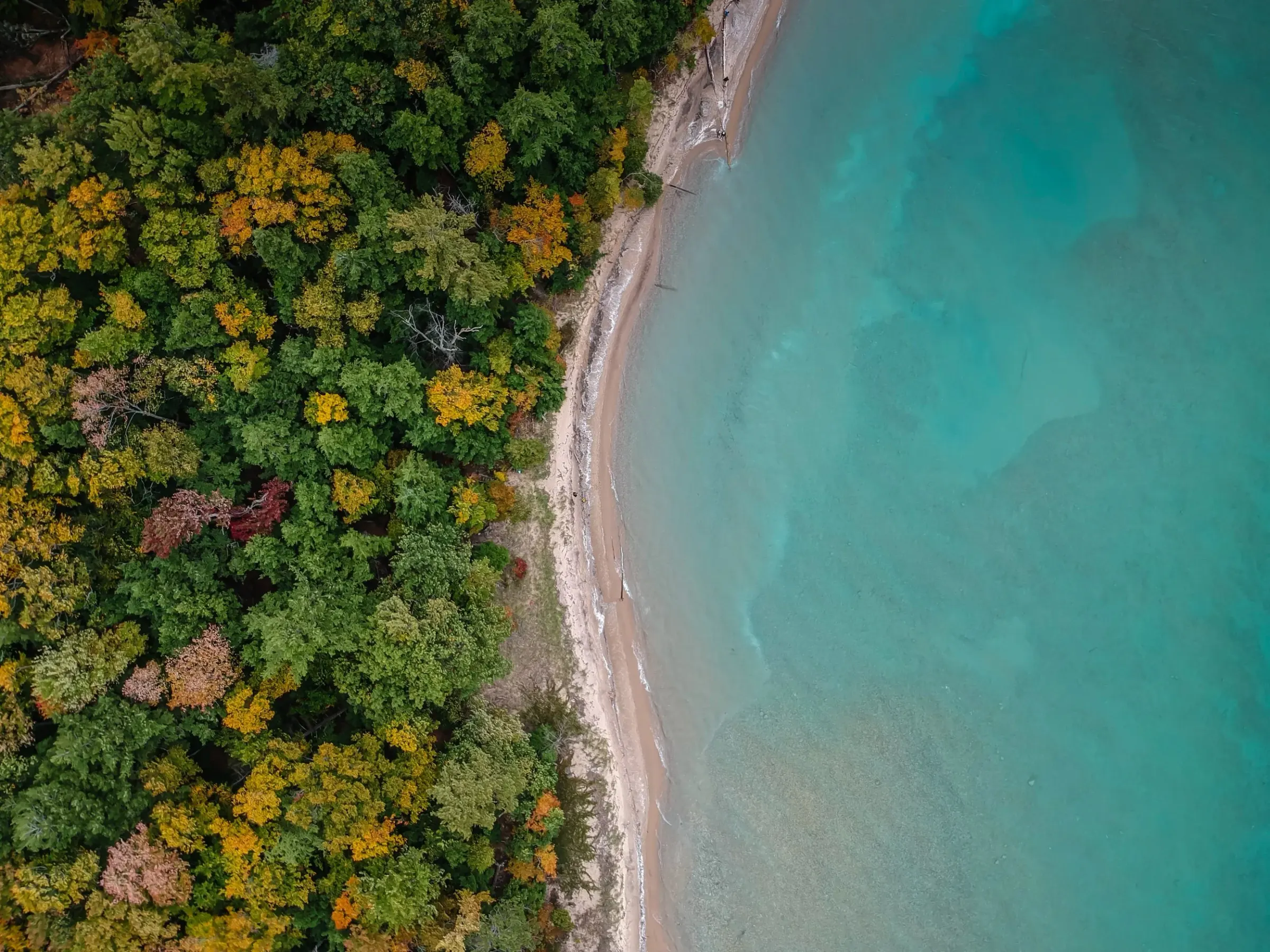 September: Local's Summer