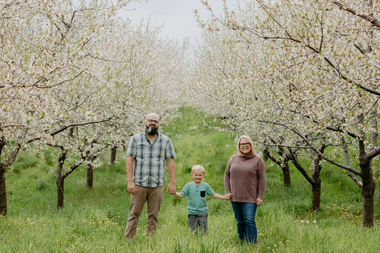 Cherry Blossoms in Traverse City: When to Go, Where to Drive, What to Know