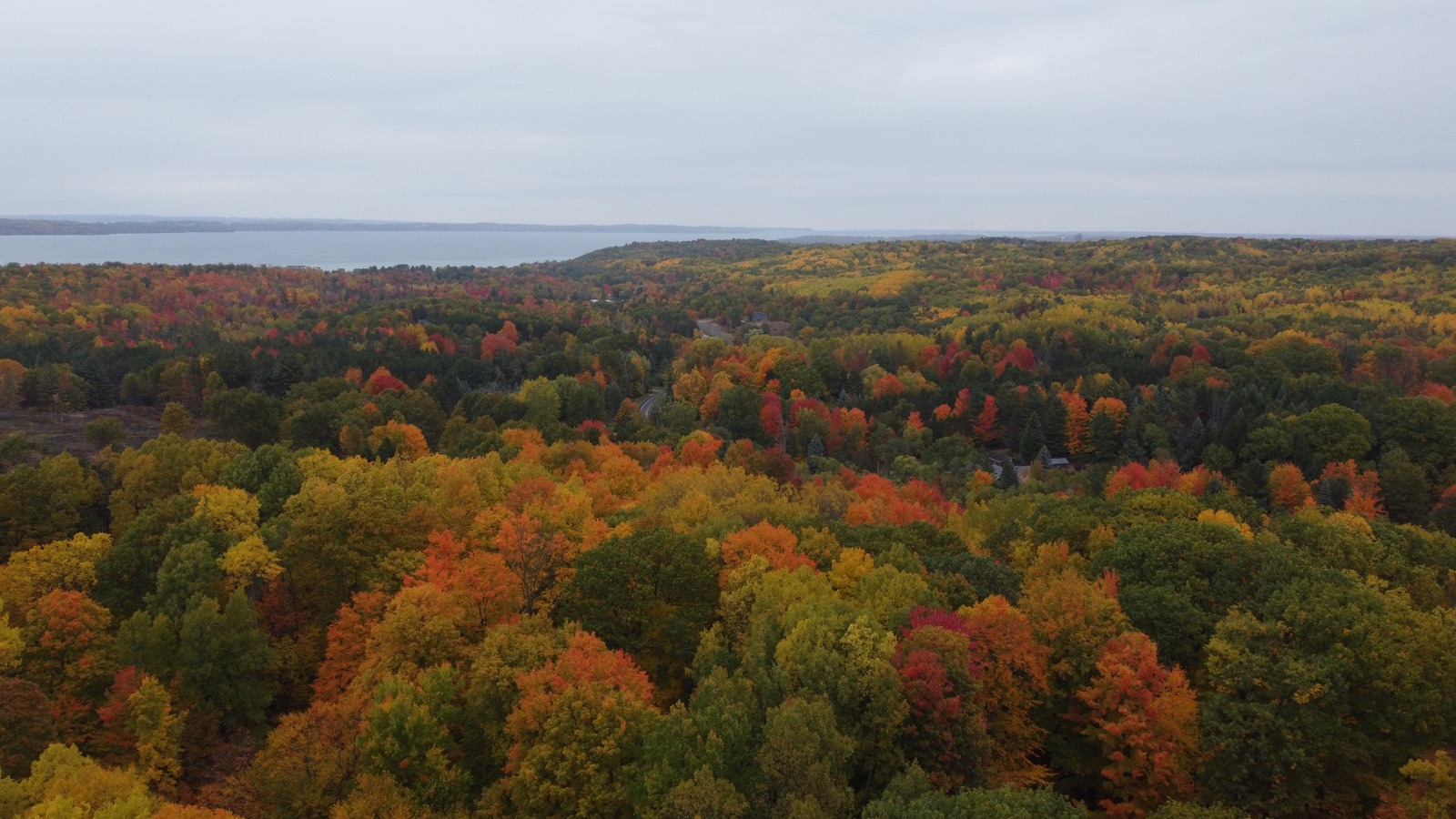 Aerial view of forested hills around Traverse City in peak red and orange fall color